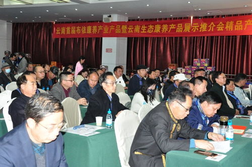 花米飯香傳千年，百越光影映新篇——云南百越文化為影視創作論壇奠基造勢